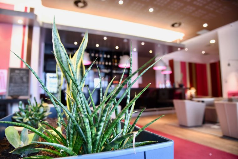 Ibis Budget Cholet Centre